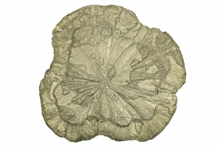 Pyrite Sun - Sparta, Illinois #315891